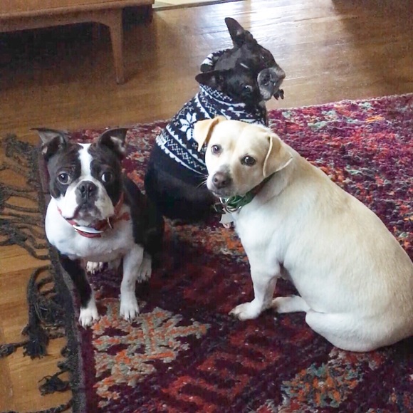 💋MEET YOUR SELLER/BUYER/DESIGNER 💋 - Picture 3 of 8